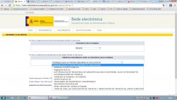 Форма для записи на прием в испанские органы власти
