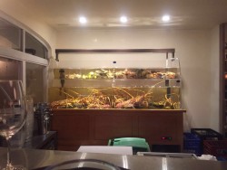Аквариум с морепродуктами в ресторане