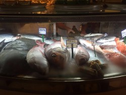Рыбный прилавок с различными морепродуктами и ценниками
